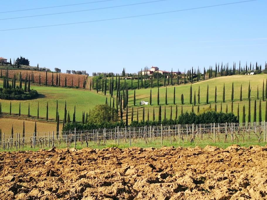 Castello Di Fulignano Ildebrando Superior Apartment Σαν Τζιμινιάνο Εξωτερικό φωτογραφία
